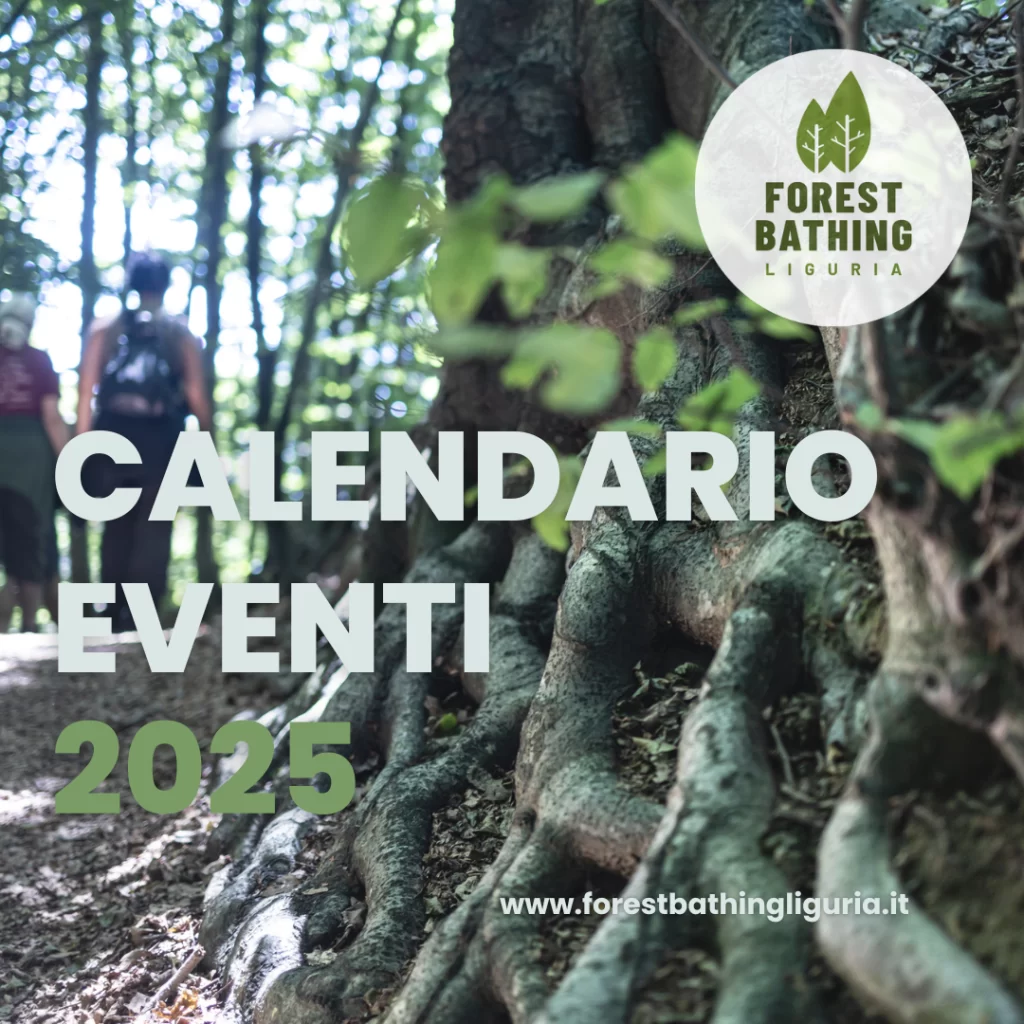 FBL calendario eventi 2025